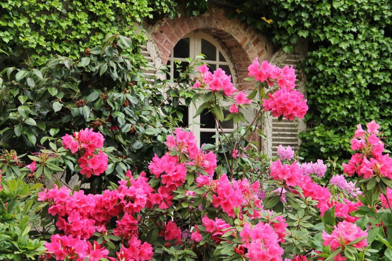 Domaine Des Roches Blanches Vila Le Pin  Exterior foto