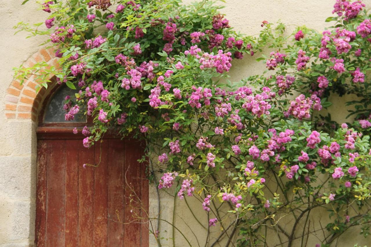 Domaine Des Roches Blanches Vila Le Pin  Exterior foto