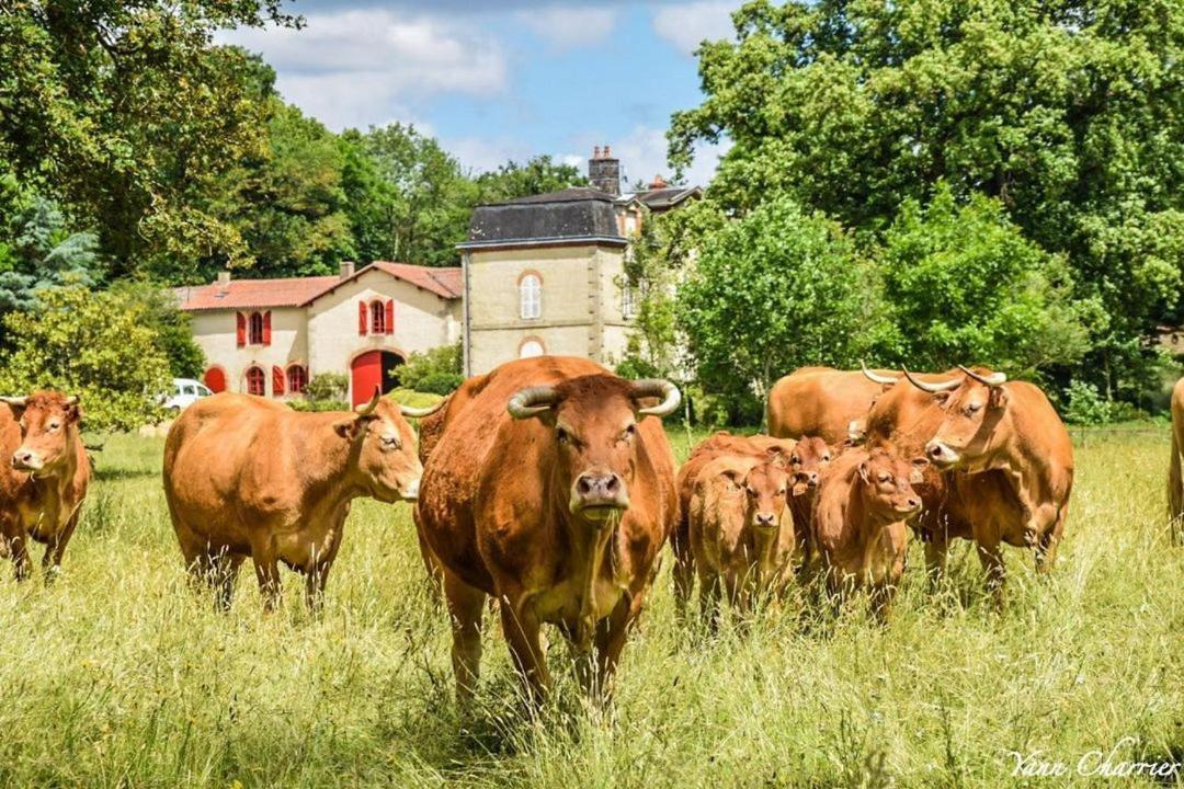Domaine Des Roches Blanches Vila Le Pin  Exterior foto