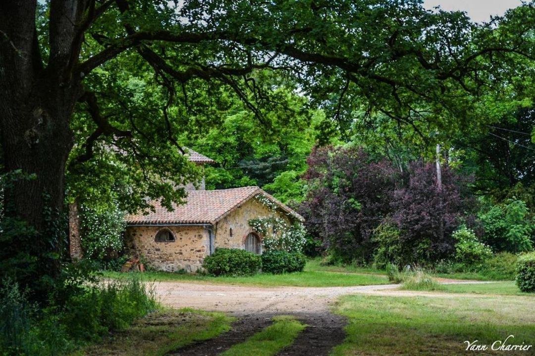 Domaine Des Roches Blanches Vila Le Pin  Exterior foto