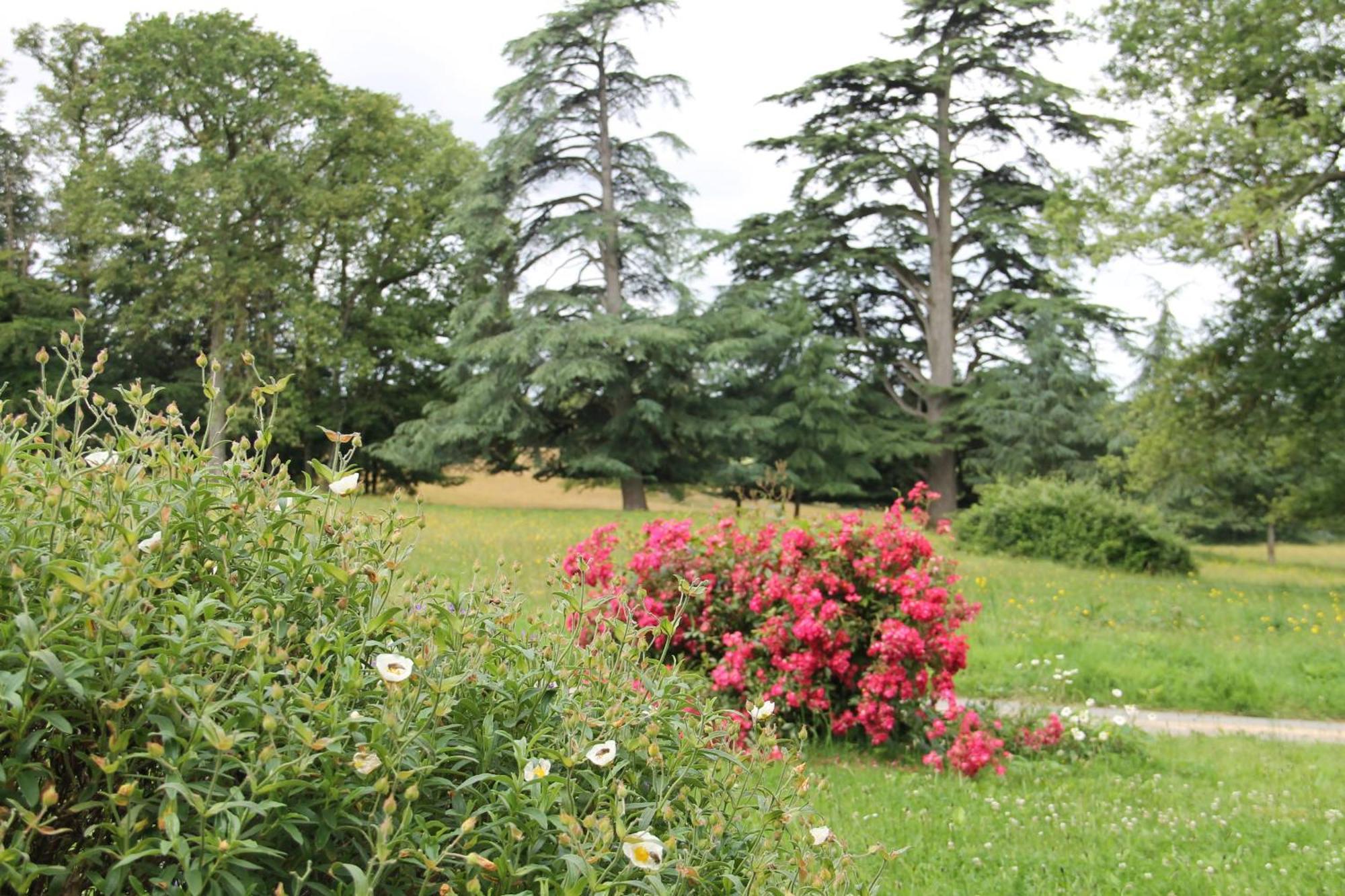 Domaine Des Roches Blanches Vila Le Pin  Exterior foto