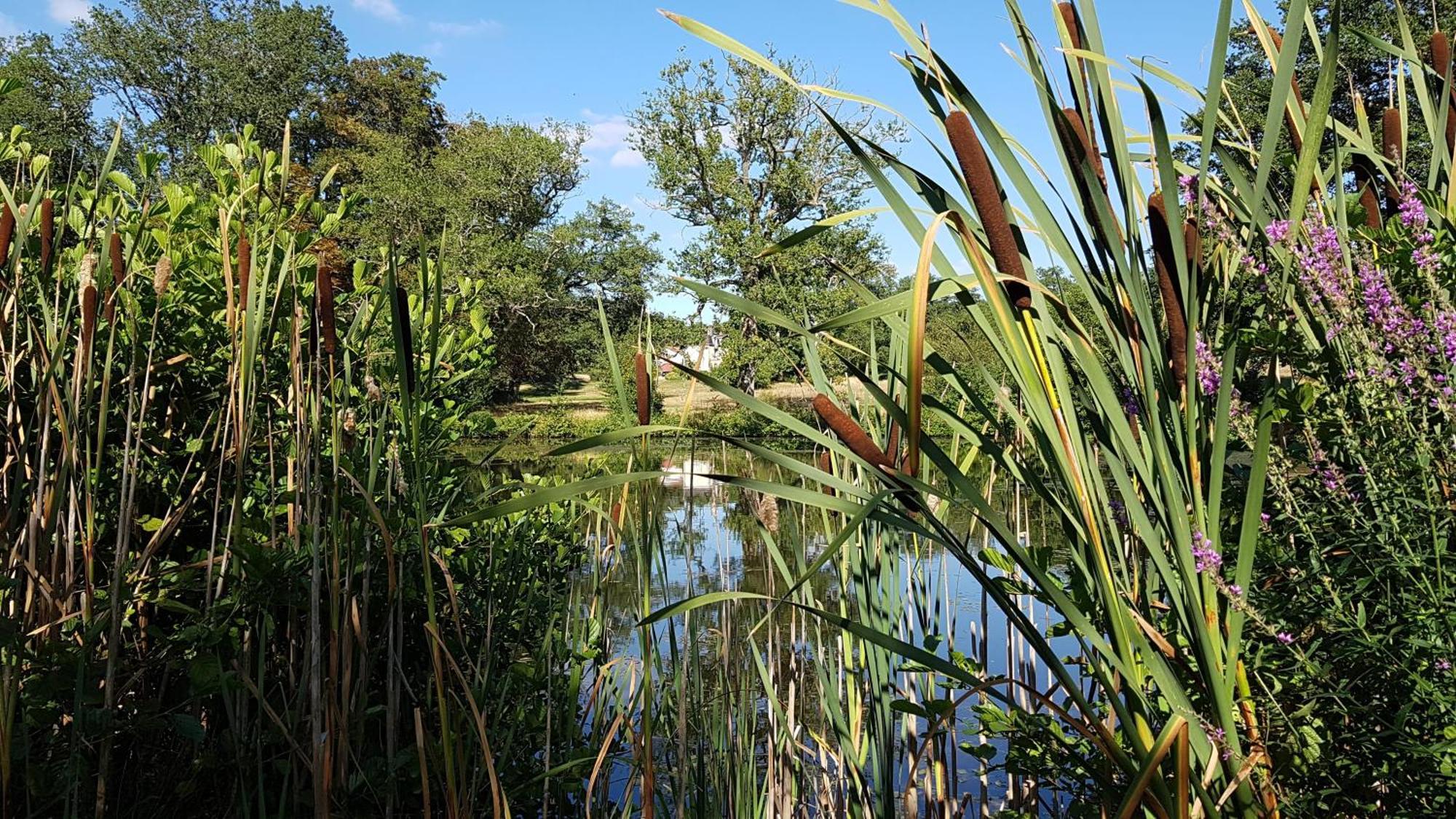 Domaine Des Roches Blanches Vila Le Pin  Exterior foto