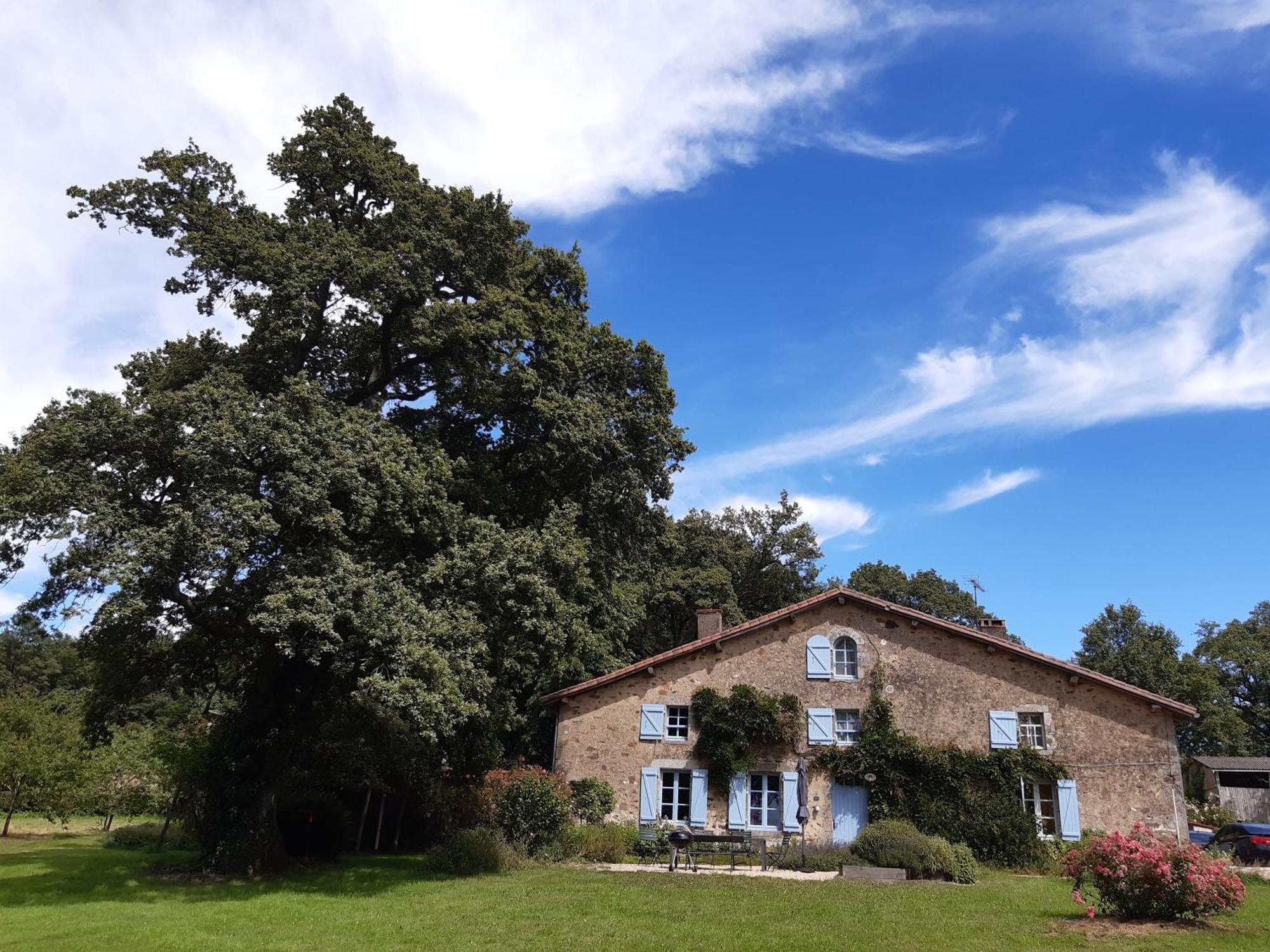 Domaine Des Roches Blanches Vila Le Pin  Exterior foto